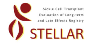 STELLAR Logo